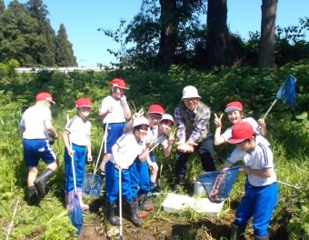 写真：体操服を着た小学生達が野原で虫取りをしている様子