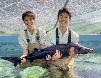 写真：高校生二人が水槽で魚を担ぎ上げている様子